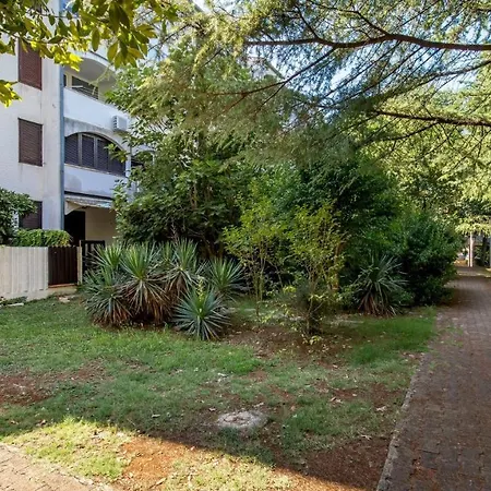 Rona Sinisa And Borna Apartament